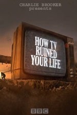 Watch How TV Ruined Your Life Megashare